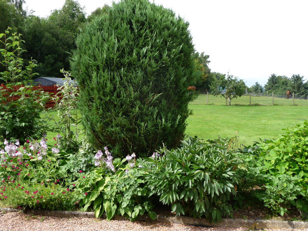 Ordieview Bed & Breakfast Luncarty Bagian luar foto